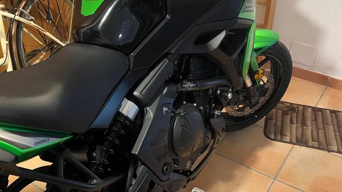Kawasaki Versys 650 (2021 - 24)  (3)