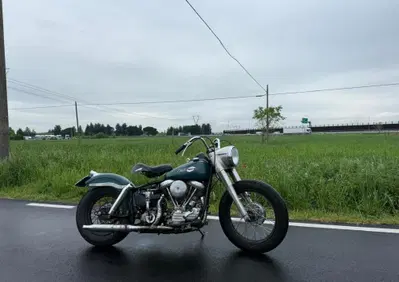 Harley-Davidson FLH 1200 Panhead Duo Glide - Annuncio 10029922