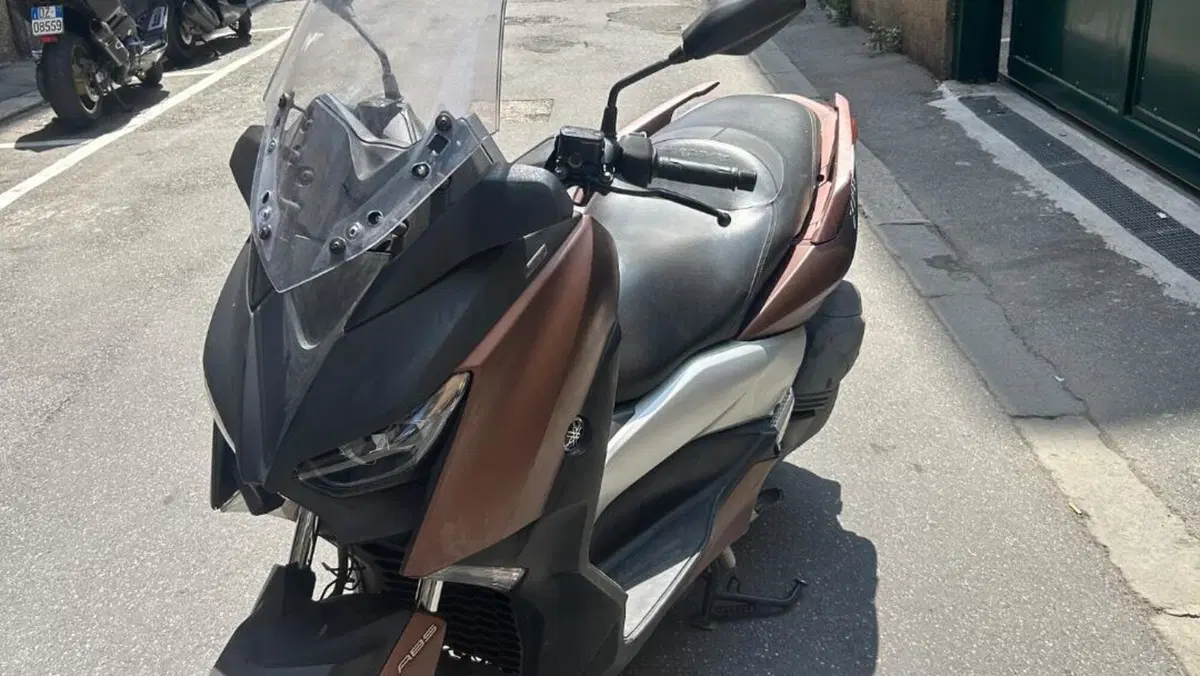 Yamaha X-Max 300 ABS (2017 - 20)  (2)
