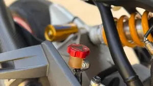 Ducati Monster 821 Dark ABS (2014 - 16)  (4)