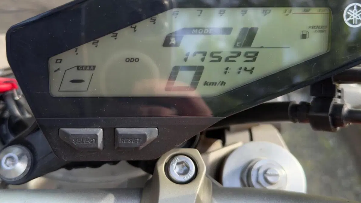 Yamaha MT-09 ABS (2013 - 15)  (6)
