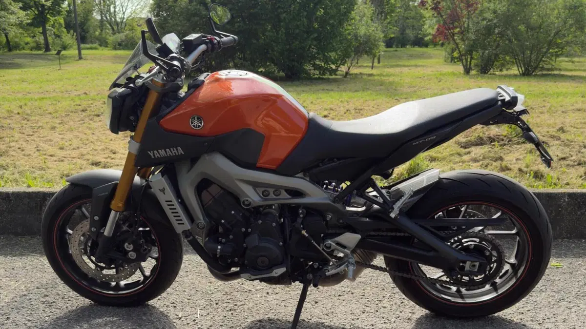 Yamaha MT-09 ABS (2013 - 15)  (9)