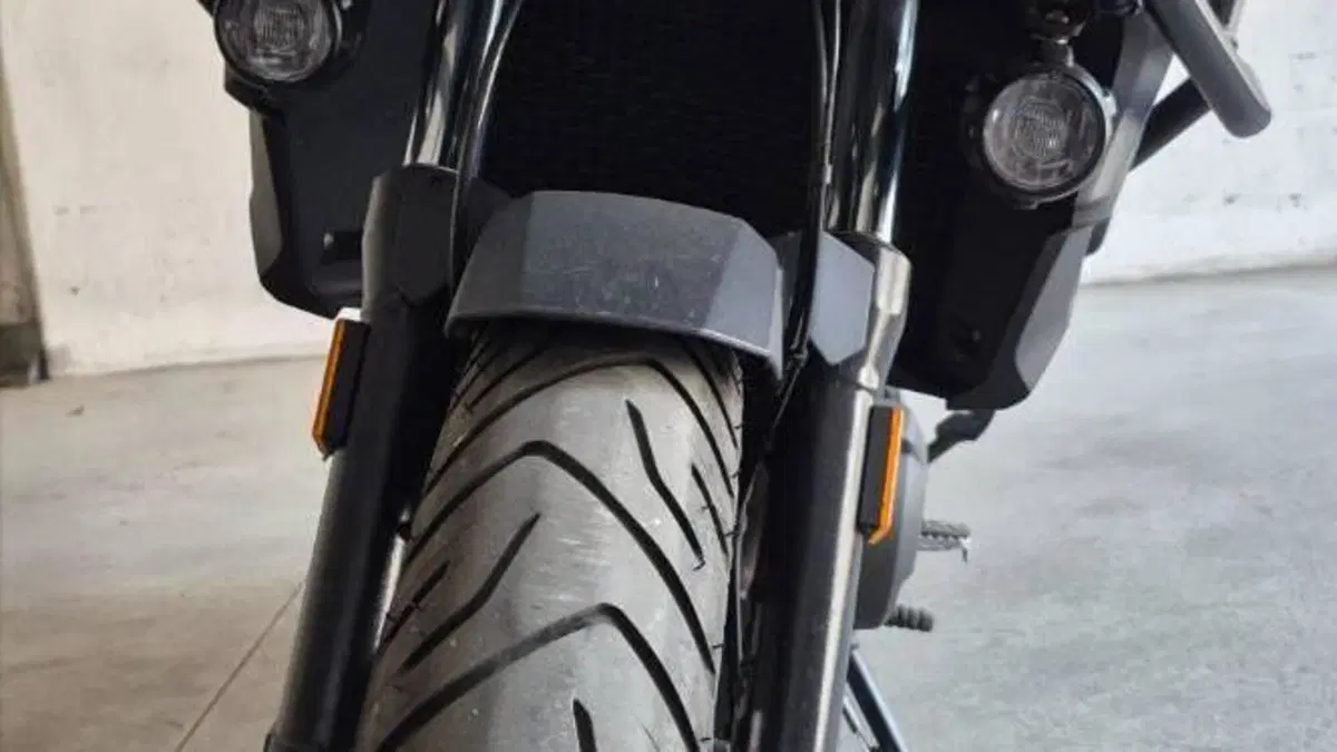 Bmw F 800 GS (2024 - 26)  (10)