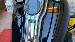 Harley-Davidson 107 Low Rider (2018 - 20) - FXLR  (5)