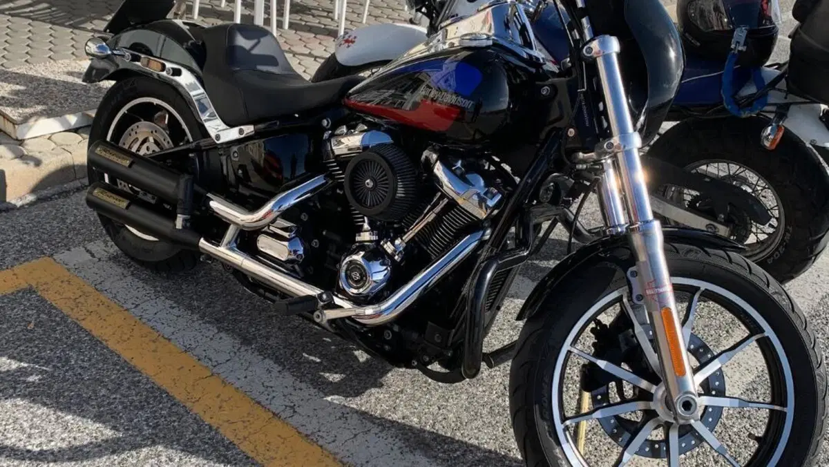 Harley-Davidson 107 Low Rider (2018 - 20) - FXLR  (10)