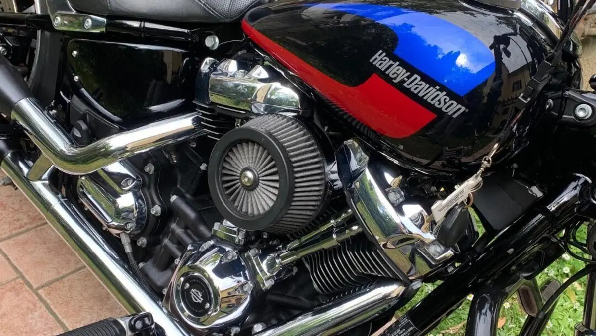 Harley-Davidson 107 Low Rider (2018 - 20) - FXLR  (13)