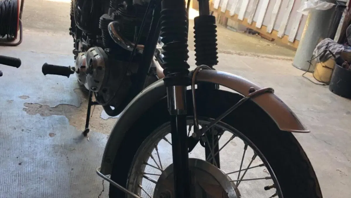 Triumph   (8)