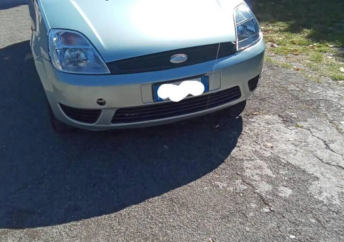 Ford Fiesta 1.2 16V 3p. Zetec (4)