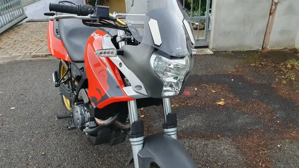 Aprilia Pegaso 650 Fun (2006 - 08)  (7)