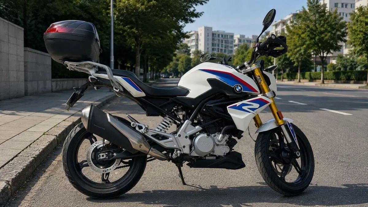 Bmw G 310 R (2016 - 20)  (2)