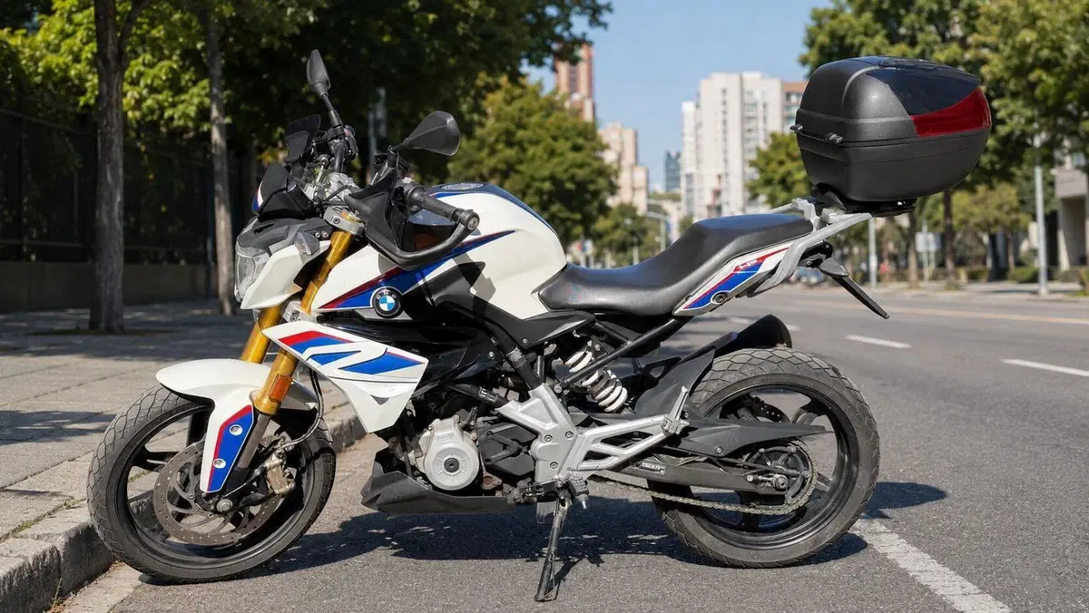 Bmw G 310 R (2016 - 20)  (3)