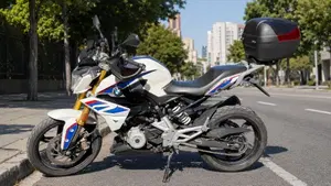 Bmw G 310 R (2016 - 20)  (3)