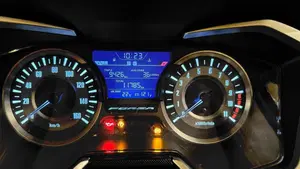 Honda Forza 300 Limited Edition ABS (2020)  (3)