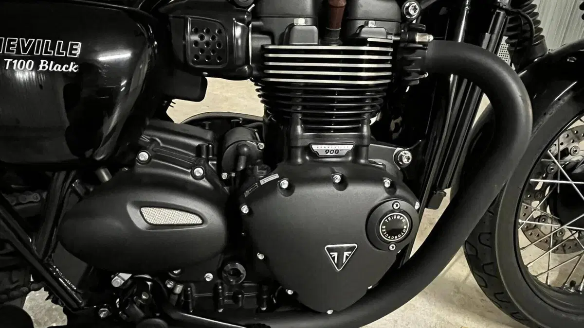 Triumph Bonneville T100 Black (2017 - 20)  (8)