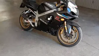Suzuki GSX-R1000 (2000 - 02) usata
