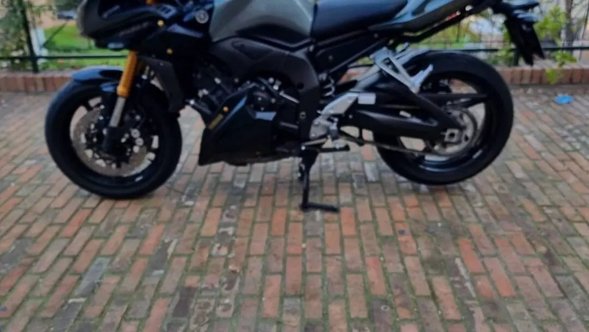 Yamaha FZ1 Fazer (2006 - 16)  (2)
