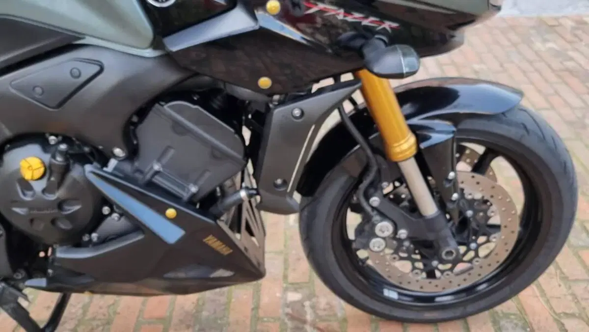 Yamaha FZ1 Fazer (2006 - 16)  (4)