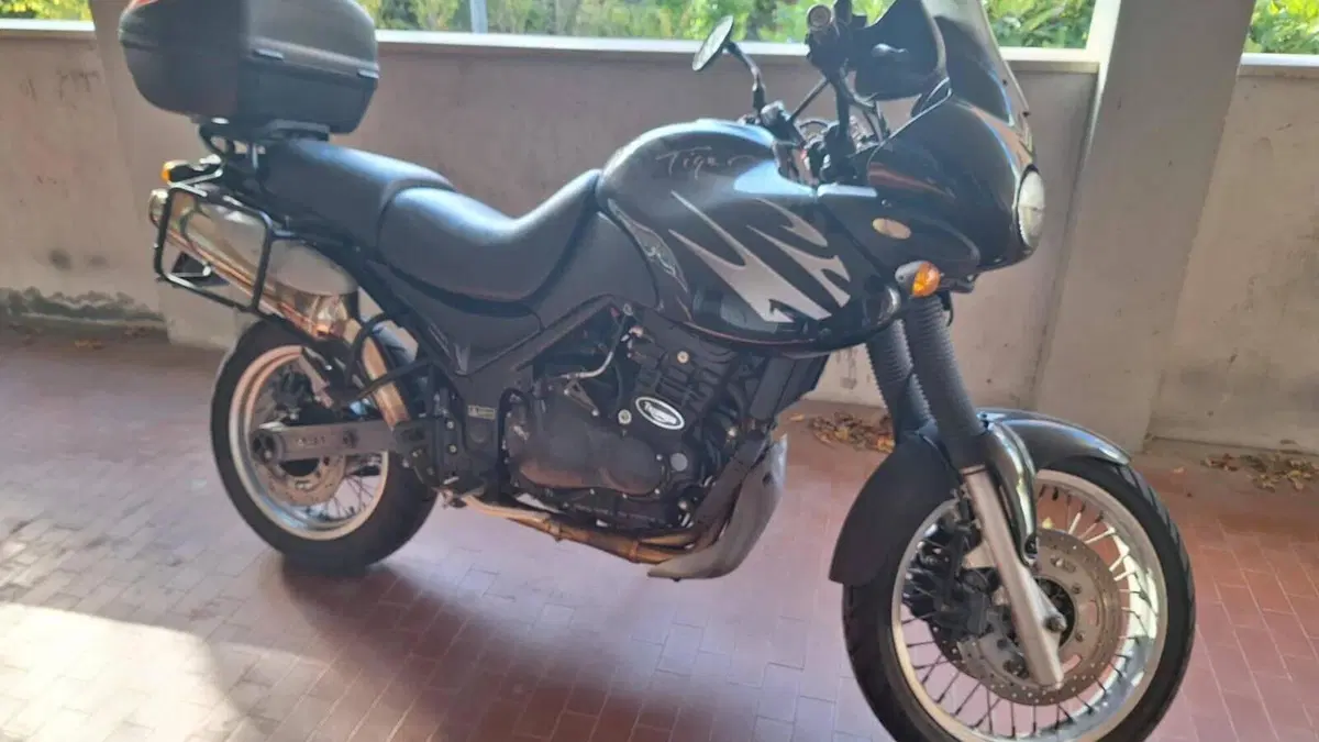 Triumph Tiger 900 