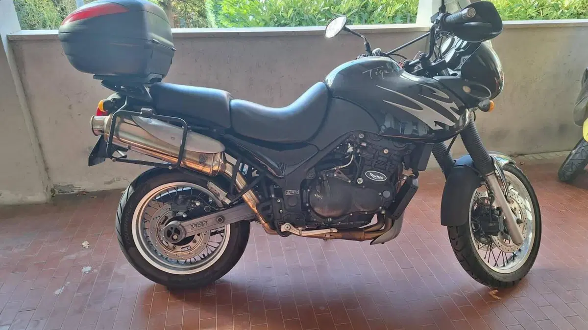 Triumph Tiger 900  (2)