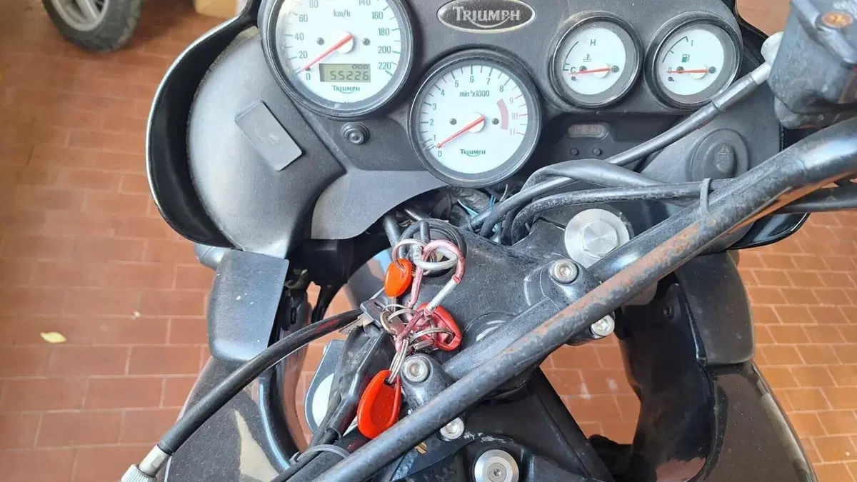 Triumph Tiger 900  (4)