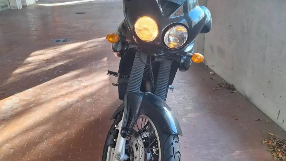 Triumph Tiger 900  (5)