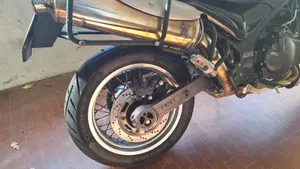 Triumph Tiger 900  (6)