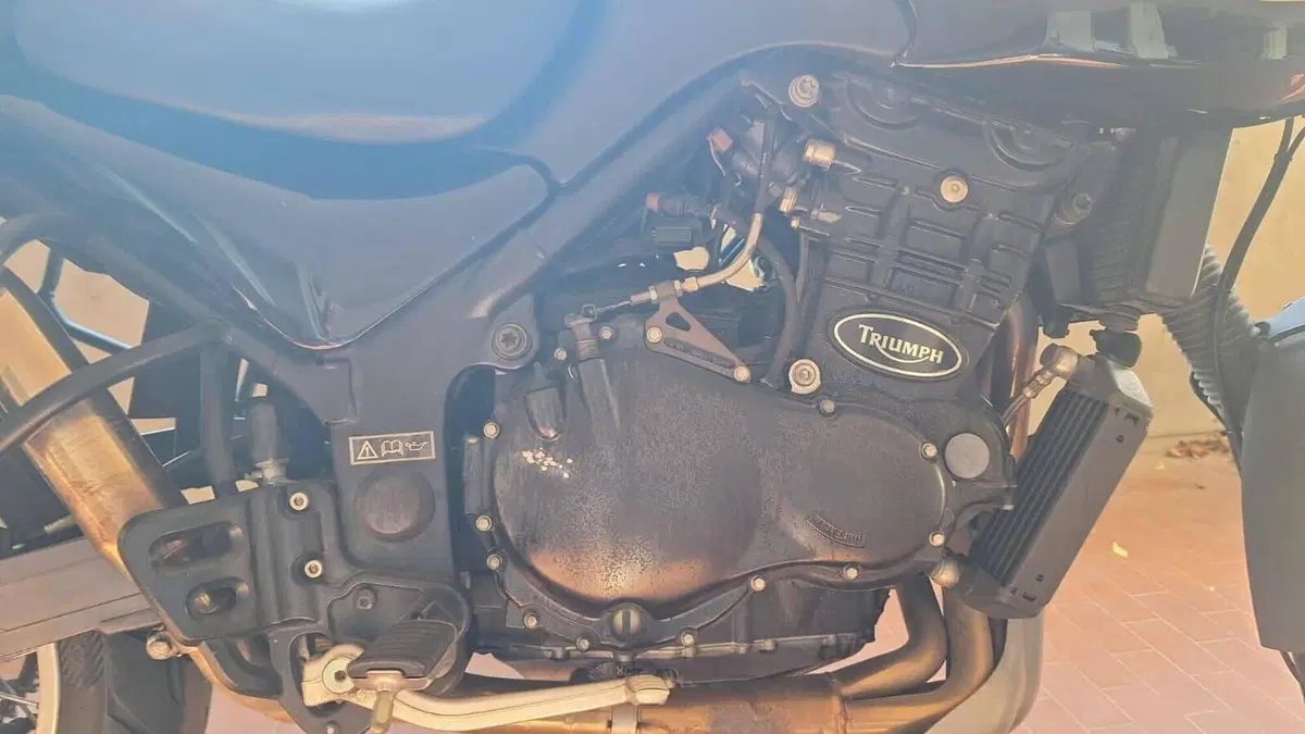 Triumph Tiger 900  (7)