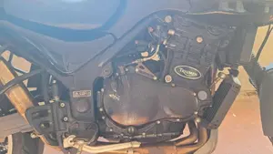 Triumph Tiger 900  (7)