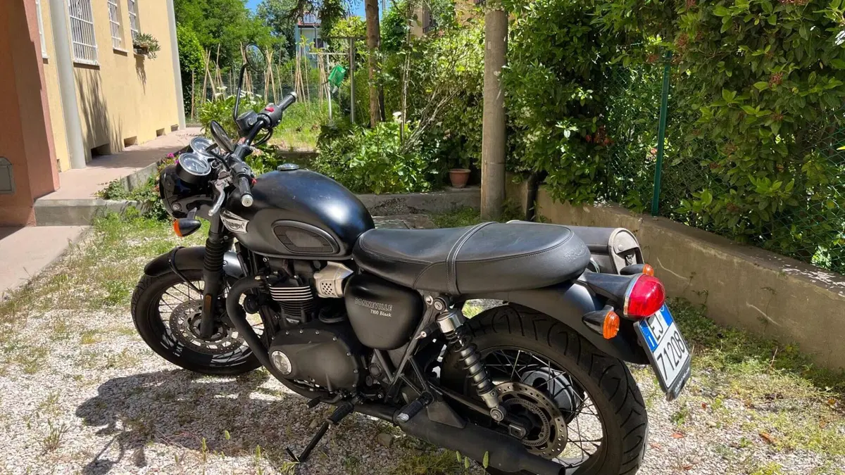Triumph Bonneville T100 Black (2017 - 20) 