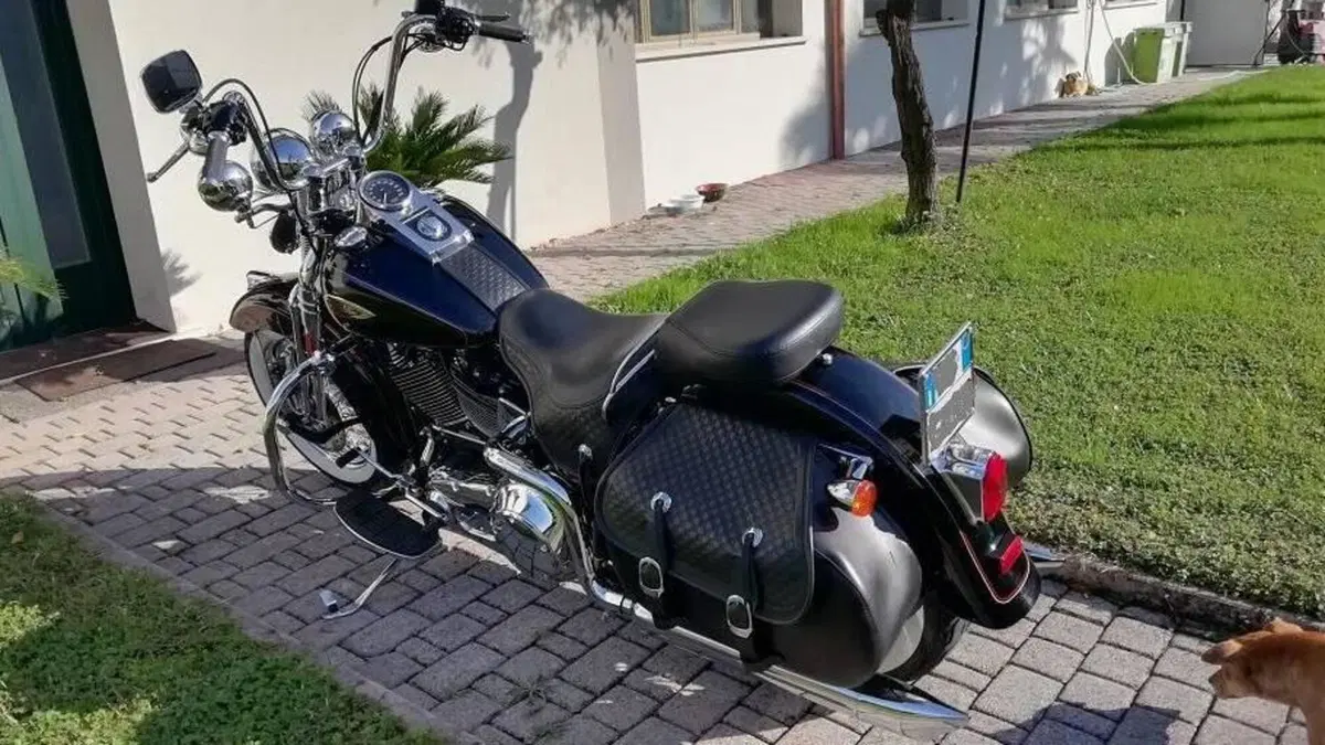 Harley-Davidson 1450 Heritage Springer (2000 - 03) - FLSTS  (6)