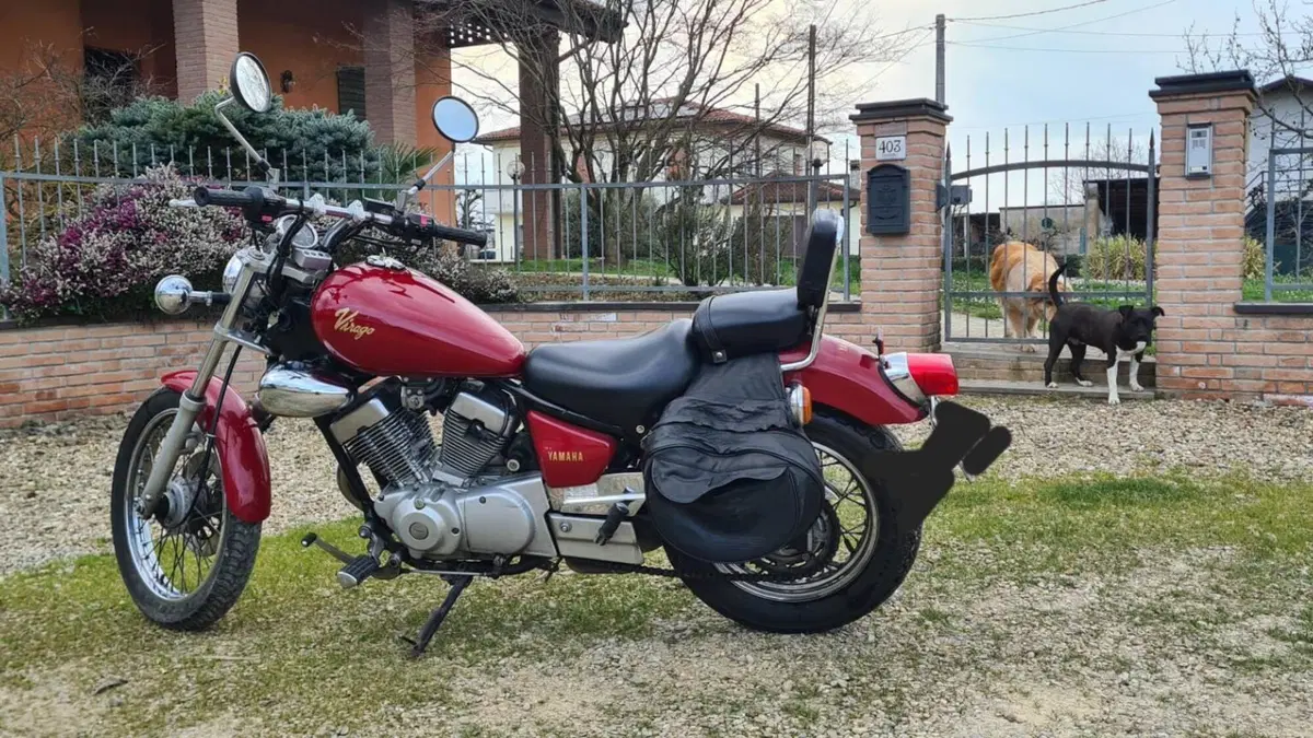 Yamaha XV 250 (1991 - 94) 