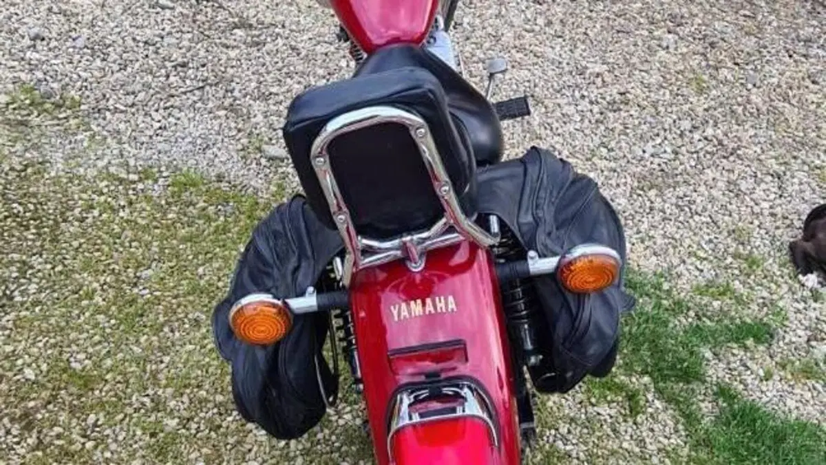 Yamaha XV 250 (1991 - 94)  (4)
