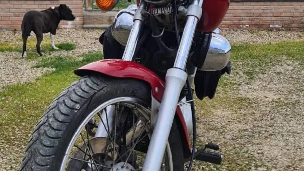 Yamaha XV 250 (1991 - 94)  (6)