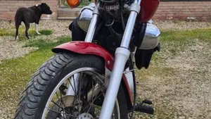 Yamaha XV 250 (1991 - 94)  (6)