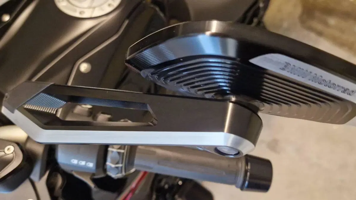 Bmw R 1250 R (2019 - 20)  (7)
