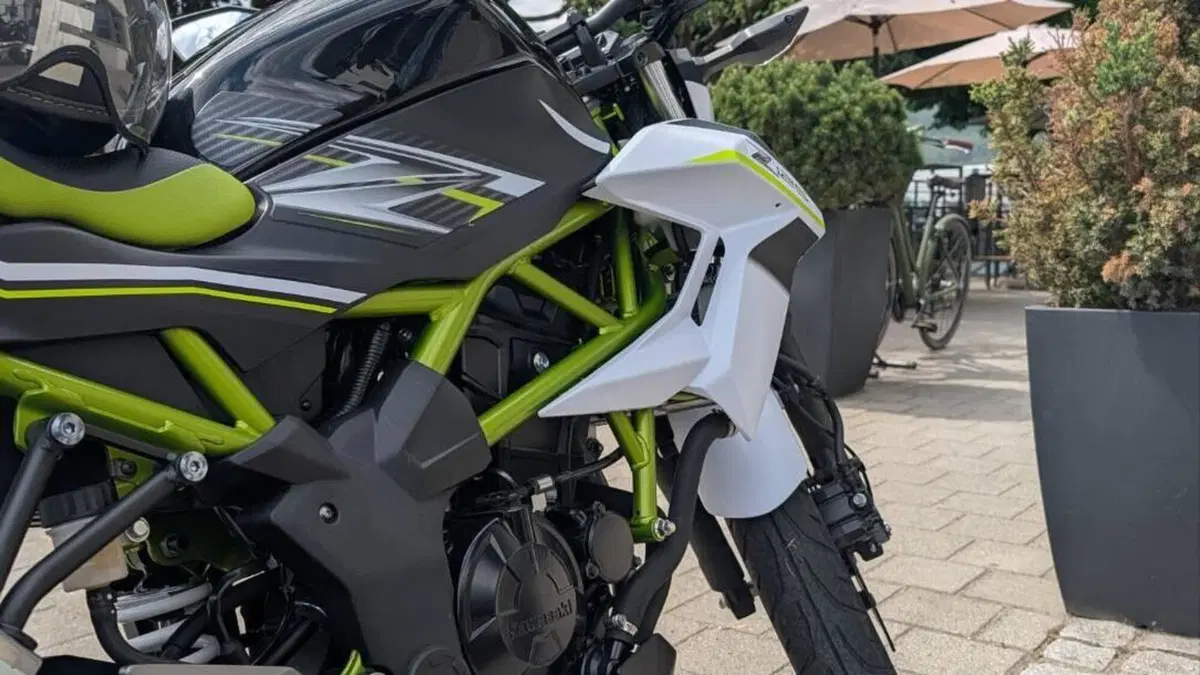 Kawasaki Z 125 (2019 - 20) 