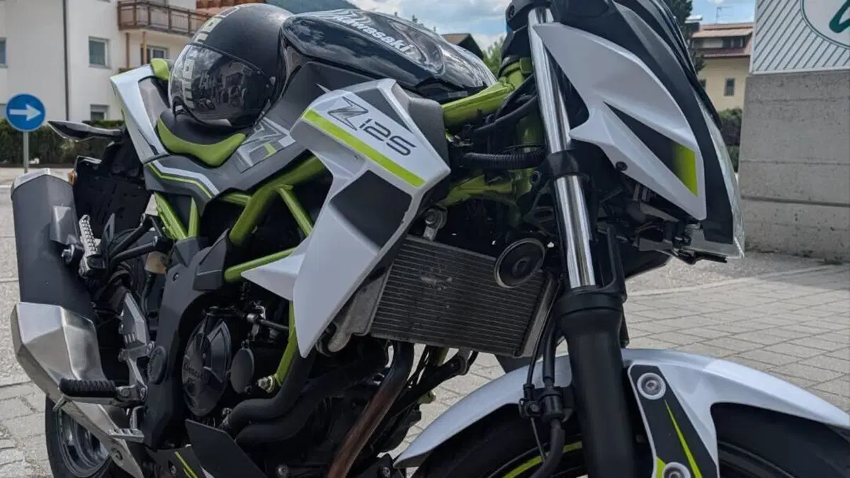 Kawasaki Z 125 (2019 - 20)  (2)