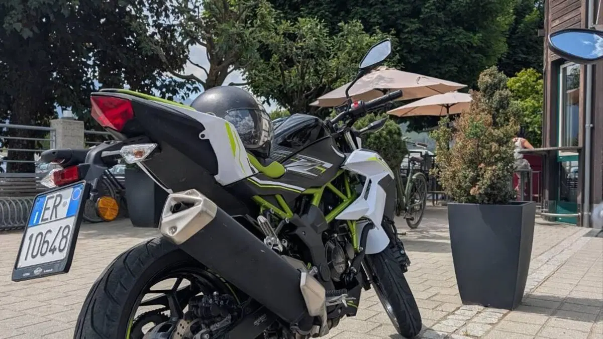 Kawasaki Z 125 (2019 - 20)  (4)
