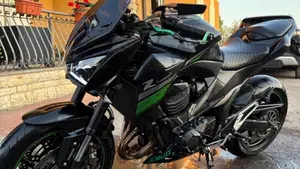 Kawasaki Z 800 e ABS (2012 - 16)  (2)