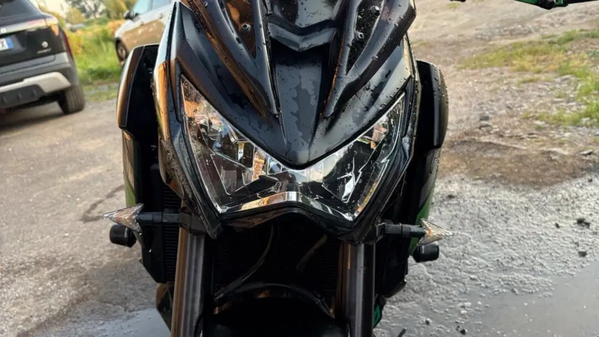 Kawasaki Z 800 e ABS (2012 - 16)  (3)
