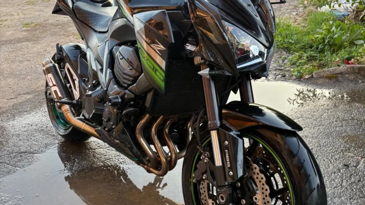 Kawasaki Z 800 e ABS (2012 - 16)  (6)