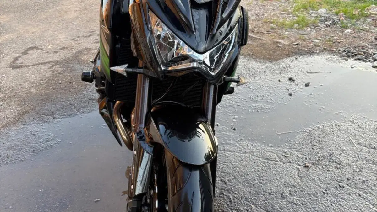 Kawasaki Z 800 e ABS (2012 - 16)  (7)