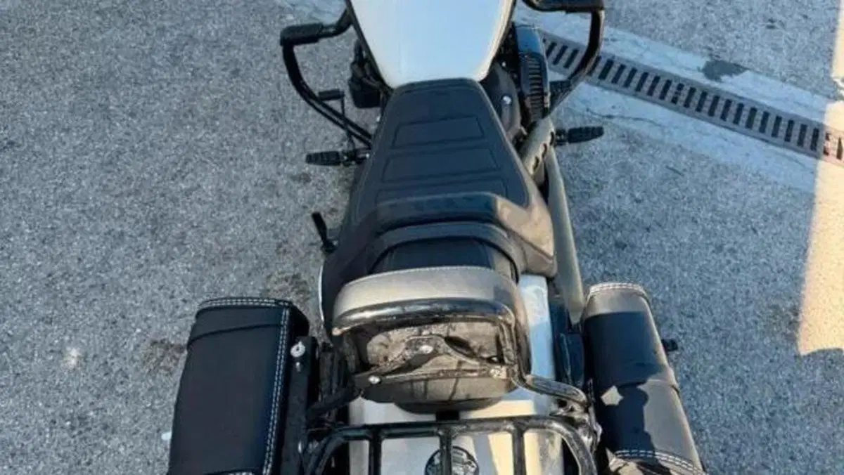 Harley-Davidson Fat Bob 114 (2021 - 25)  (6)