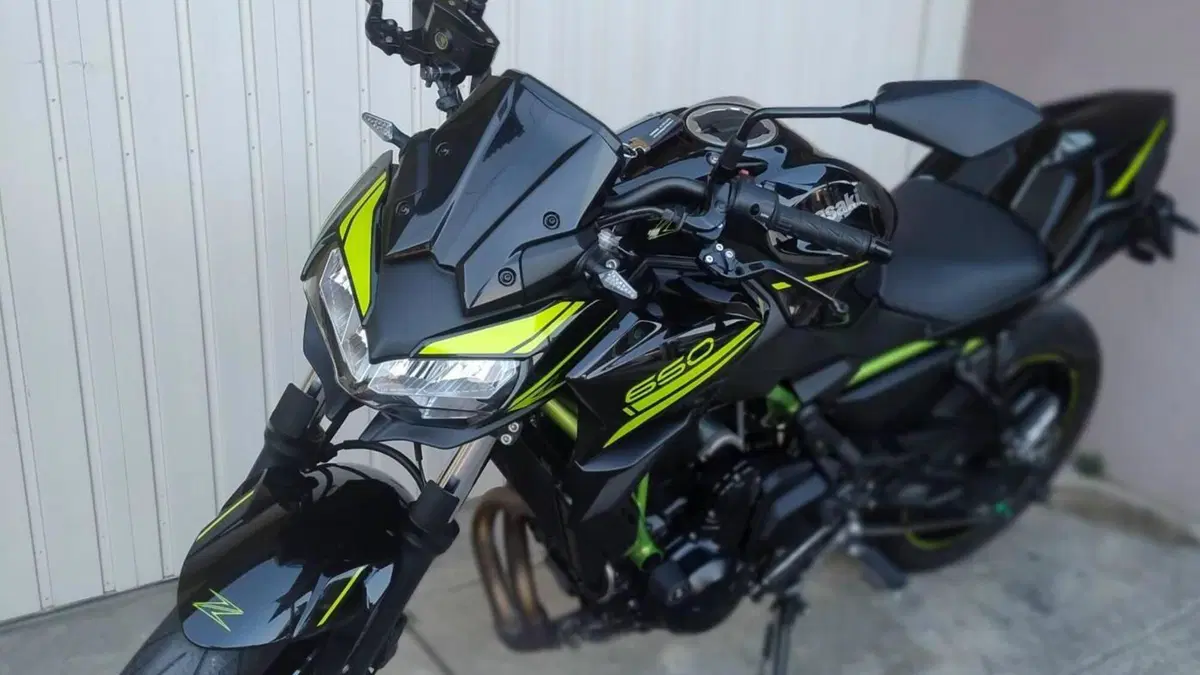 Kawasaki Z 650 (2020) 