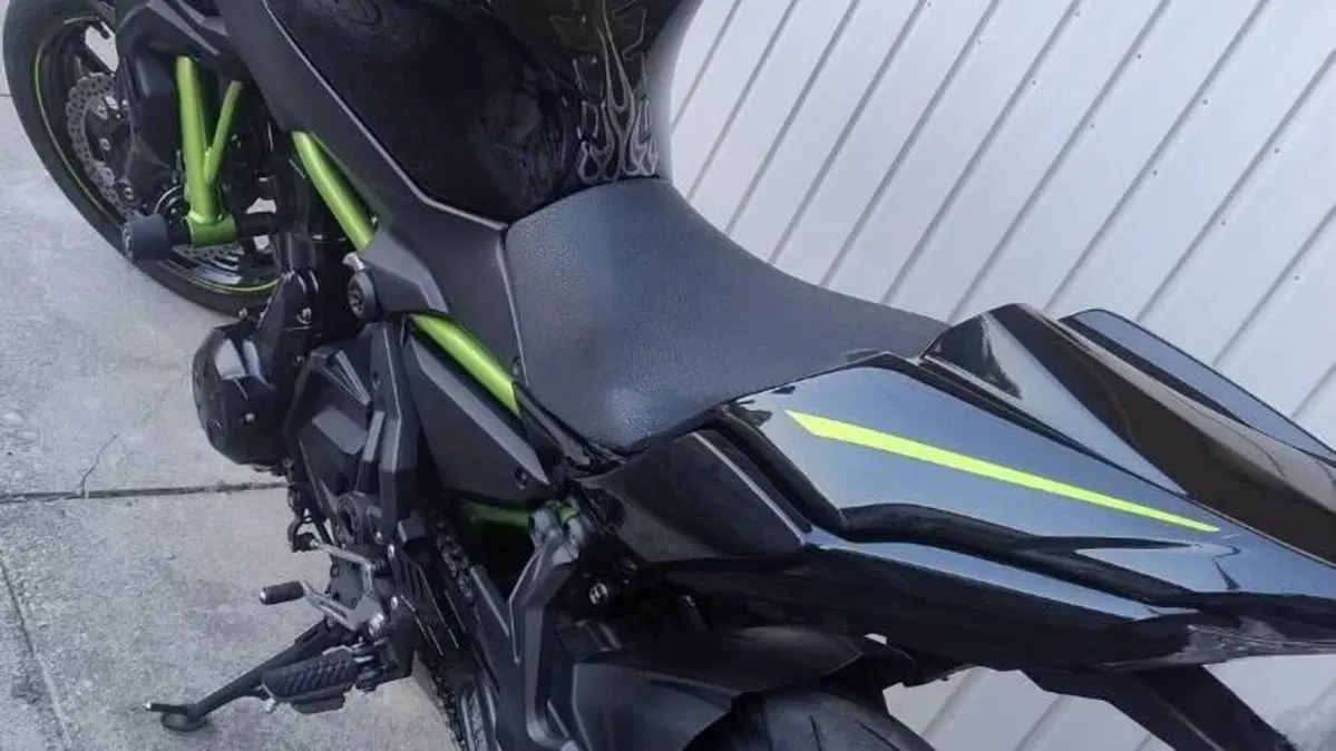 Kawasaki Z 650 (2020)  (2)
