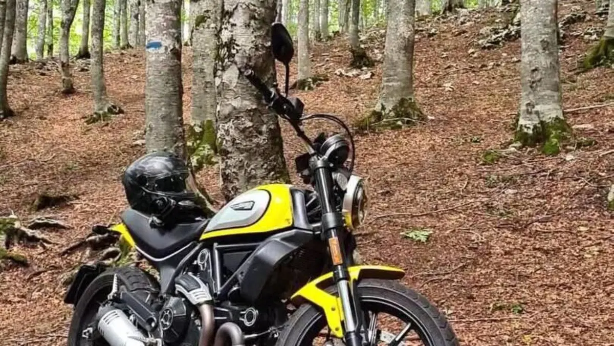 Ducati Scrambler 800 Icon (2021 - 22) 