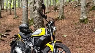 Ducati Scrambler 800 Icon (2021 - 22) usata