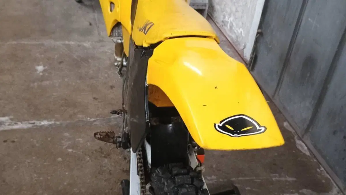 Suzuki RM 125 (1995 - 01)  (5)