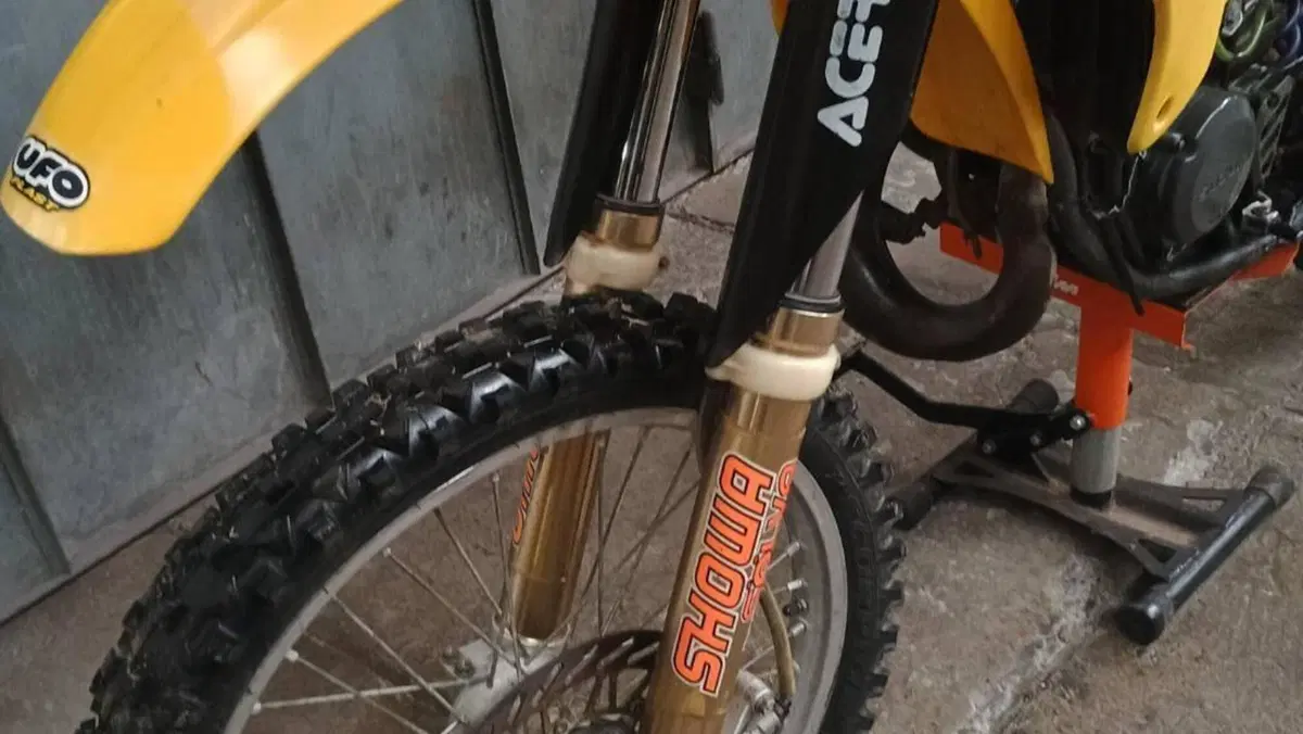 Suzuki RM 125 (1995 - 01)  (6)