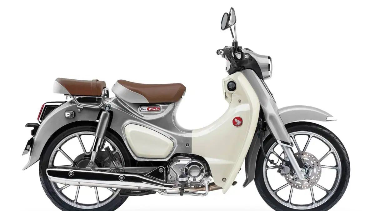 Honda Super Cub C125 (2022 - 26) 